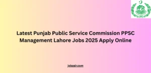 Latest Punjab Public Service Commission PPSC Management Lahore Jobs 2025 Apply Online